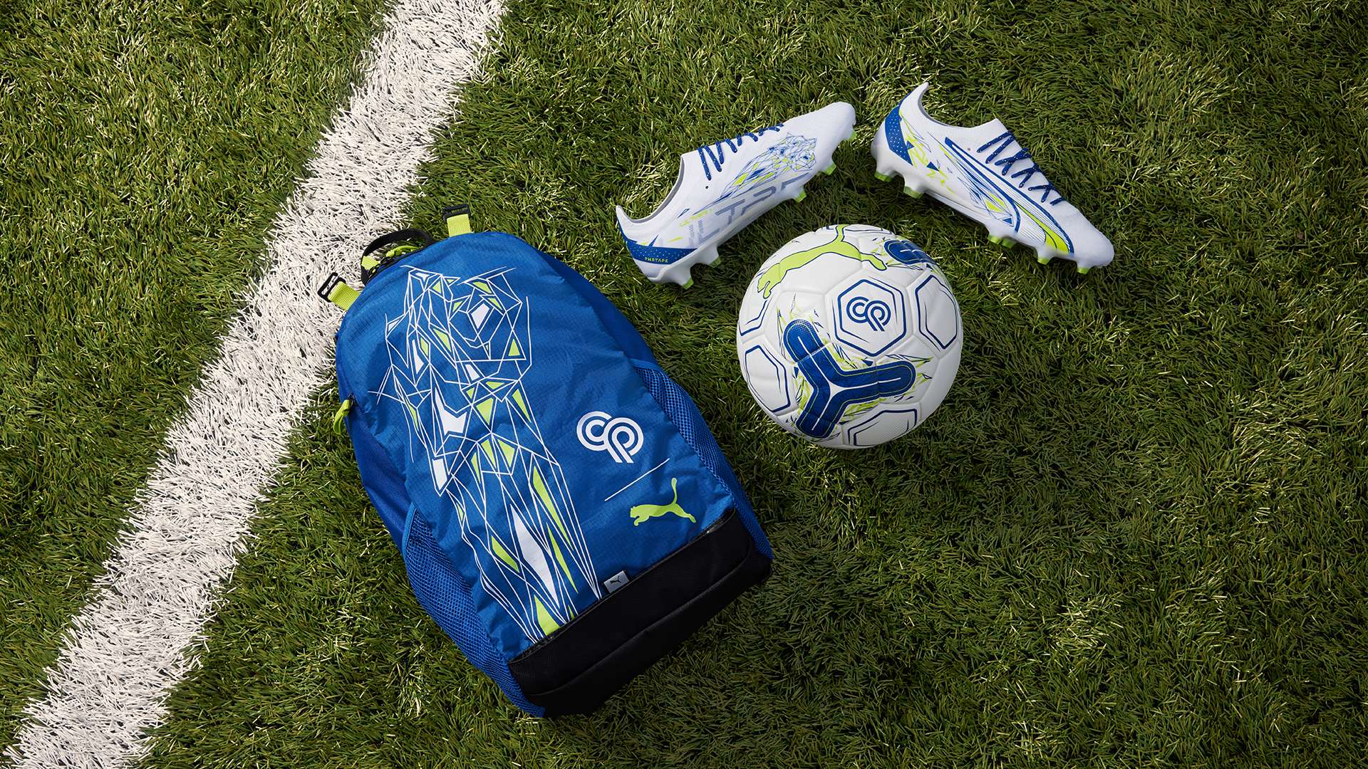 目前正在展 目前正在展