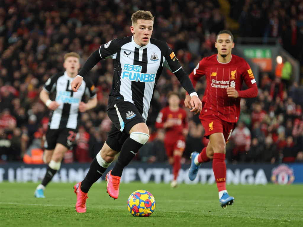 引发了广泛 引发了广泛